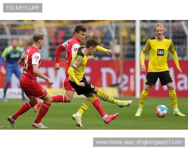 曼联或抢多特快马,多特和曼联哪个强 曼联或抢多特快马,多特和曼联哪个强