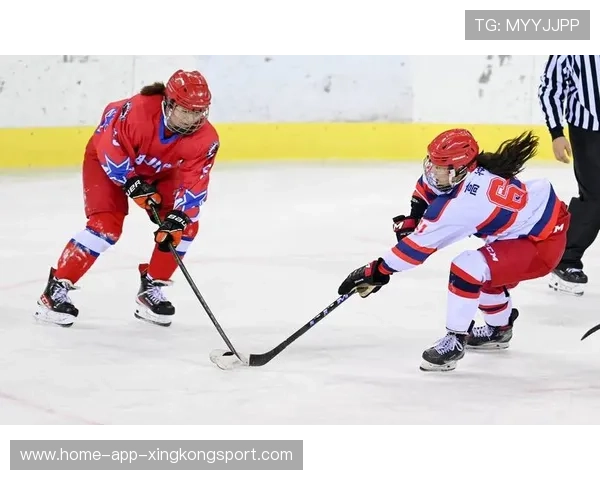 女子冰球赛：冰雪竞技展现中国队坚强拼搏精神，女子冰球锦标赛