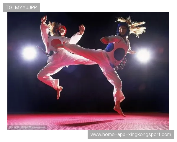 MMA地面与站立技融合成新潮流