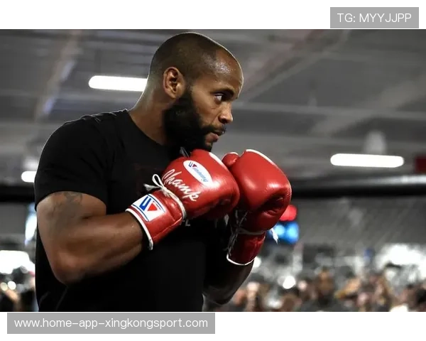 UFC综合技法训练全方位提升——开启你的格斗新境界